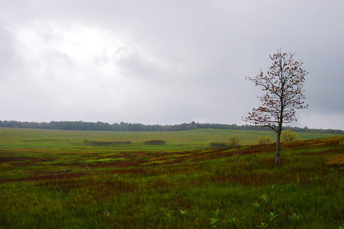 Big Meadow, Skyline Drive