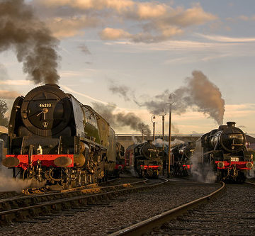 Golden hour at Barrow Hill