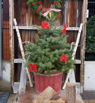 decor for the holidays at Evergreen Brickworks