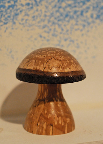 Mushroom