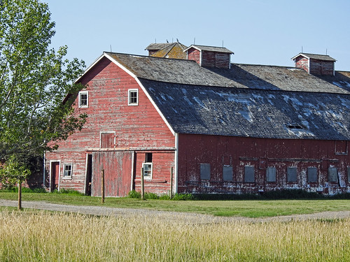 Weathered beauty