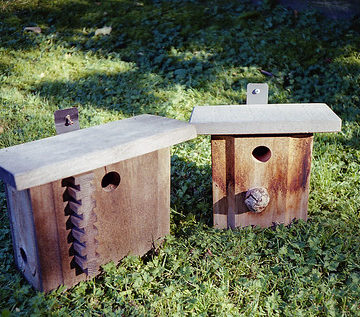 bird houses