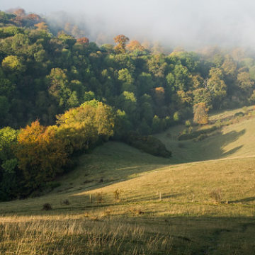 Ellesbrough Warren