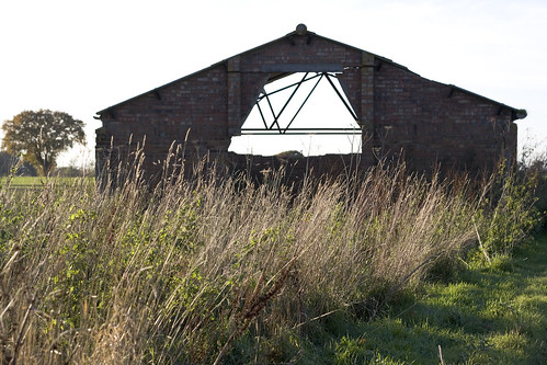 Shed - In a field