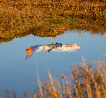 Trainer - reflected in Pow Burn !!