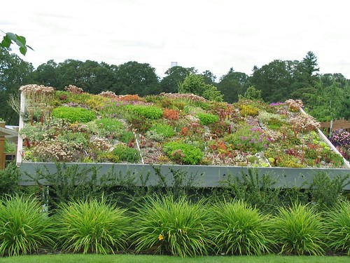 Shed roof