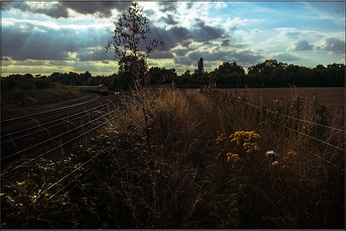 Every Overgrown Path Needs A Shed At The End.