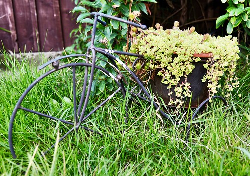 Bicycle Plant Stand - Fittie Aberdeen Scotland 01/09/17