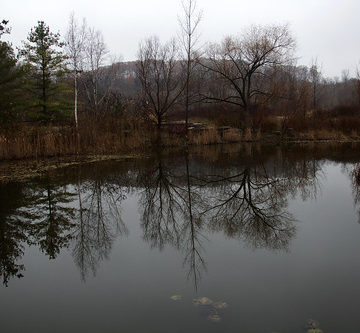 love the mirror like reflections