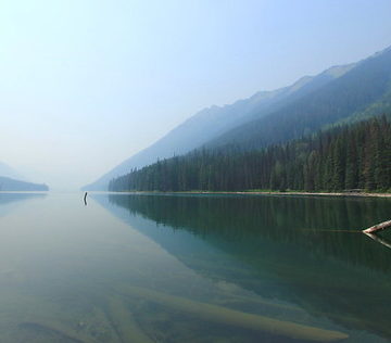 Log and Mirror