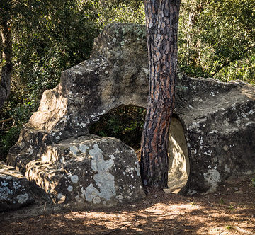 A broken back to the Cova dels Clots de Sant Julià