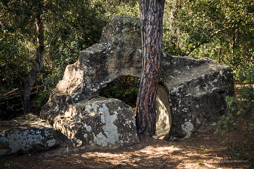 A broken back to the Cova dels Clots de Sant Julià