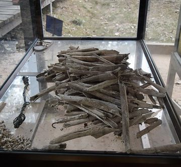 Cambodia.  Phnom Penh. Choeung Ek Genocidal Centre.  Teeth and bones.