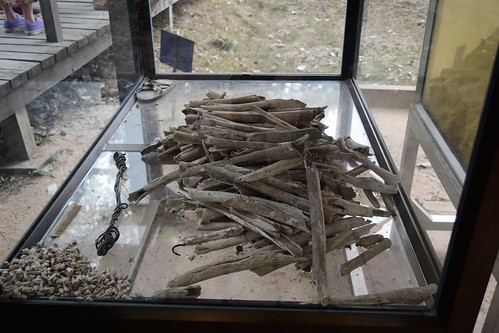 Cambodia.  Phnom Penh. Choeung Ek Genocidal Centre.  Teeth and bones.