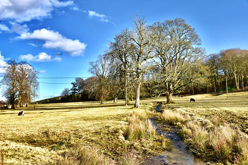 Countryside Walk - Dyce Aberdeen Scotland - 24/3/2018