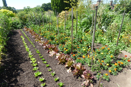 The salad and vegetable garden at Great Dixter Gardens