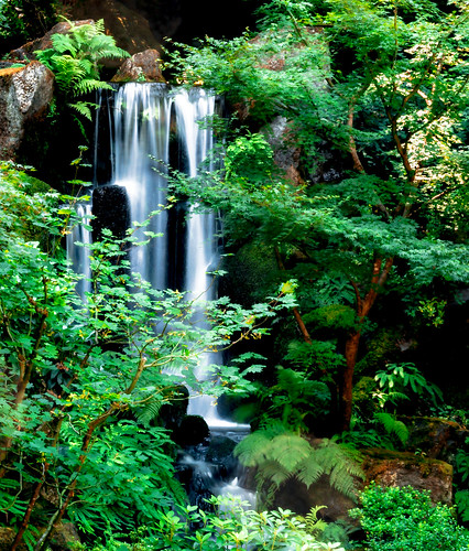 Heavenly Falls of the Strolling Pond Garden at the Portland Japanese Garden, Portland, OR USA-47a