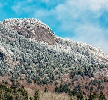 Grandfather Mountain Christmas Tree Test Facility