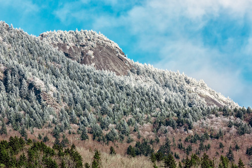 Grandfather Mountain Christmas Tree Test Facility