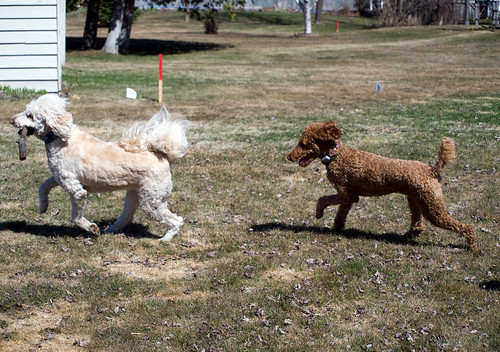 Get that stick: 13/52