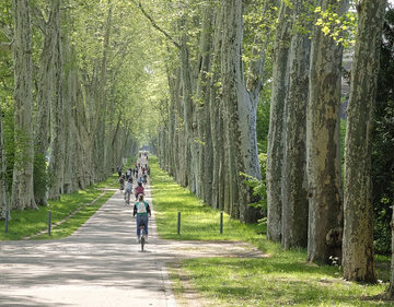 Ausflügler in der Felix-Mendelssohn-Bartholdy-Allee Stuttgart / Day trippers in the park way in Stuttgart