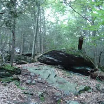 Shed Epic- Nate on Trail 6