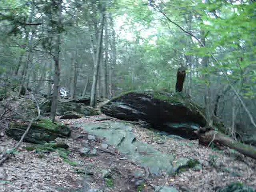 Shed Epic- Nate on Trail 6