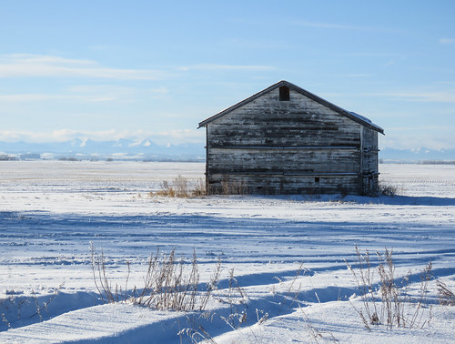 Prairie winter scene