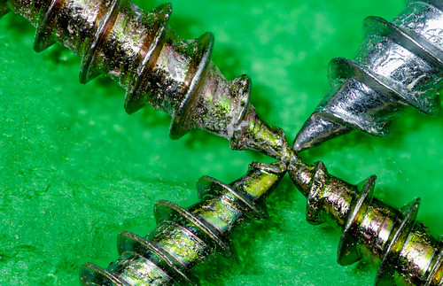 Wood Screws