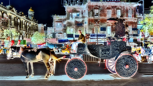 India - West Bengal - Kolkata - Streetlife - Wedding  Carriage - 127ee