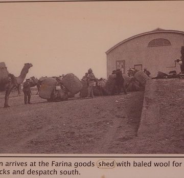 Farina a ghost town of the Flinders Ranges. Information board photo of the railway station goods shed and a camel train.