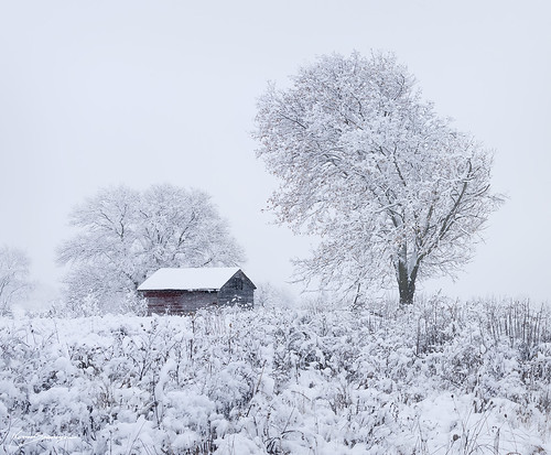 SHELTERED