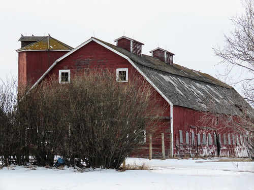 A favourite old barn with matching silo/elevator