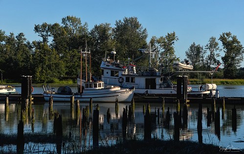 MV SILVER ANN, Gillnetter c. 1969 & MV GIKUMI Tugboat c. 1954