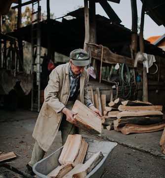 Old man putting cut firewood into an old wheelbarrow.