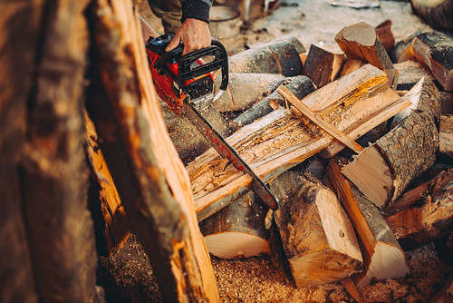 Old man cutting wood with a chainsaw. Front view.