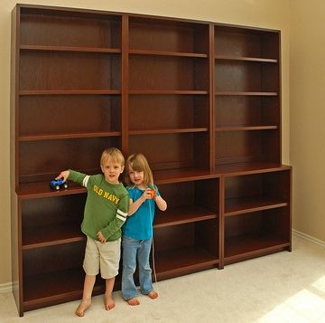 Toy/Book shelf units