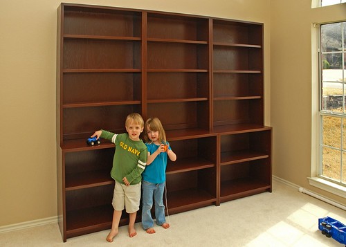 Toy/Book shelf units