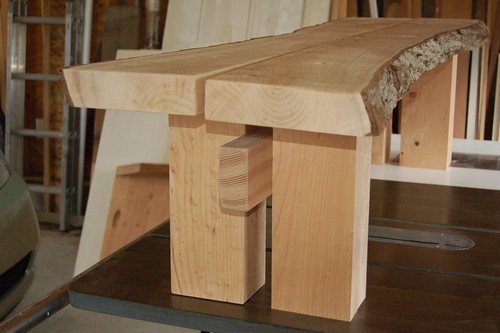 Monterey Cypress Bench - 3