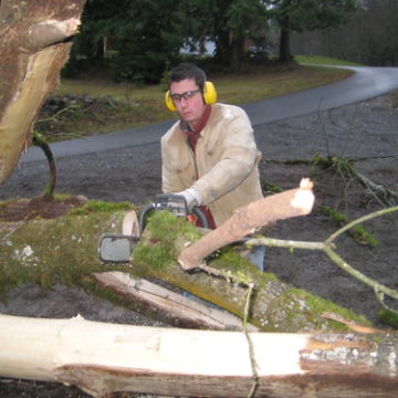 chainsawing on site for curtis project