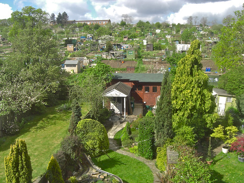 Back garden, spring 2008