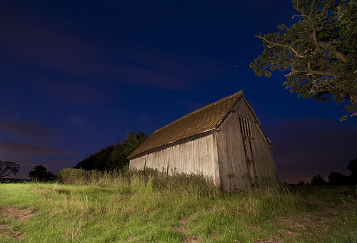 Same Shed, Different Day