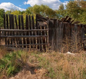 Back shed