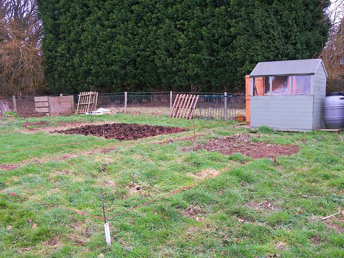 The Allotment February 18th 2012