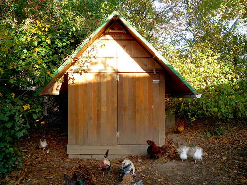 Untreated Pallet Wood Hen House Design & Construction. Poulailler de bois de palette. Gallinero de madera de palet