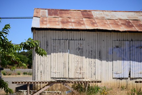 Rickety shed!