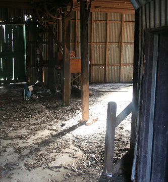 20120808_7936 inside the shed