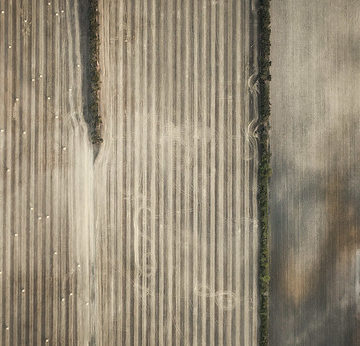 Aerial Farmland