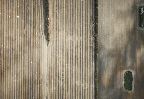 Aerial Farmland