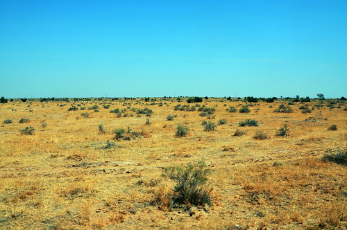 India - Rajasthan - Thar Desert - 45